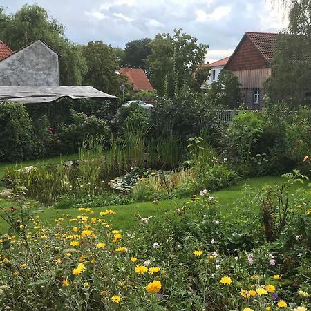 Schoene Gemuetliche Ferienwohnung Mit Kamin II Im Harz Darlingerode Dış mekan fotoğraf