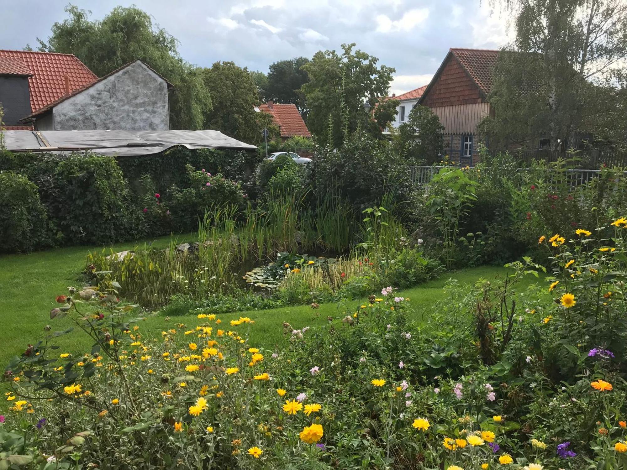 Schoene Gemuetliche Ferienwohnung Mit Kamin II Im Harz Darlingerode Dış mekan fotoğraf